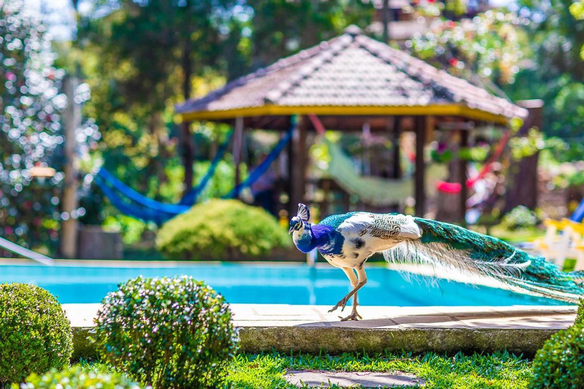Pousada Villa D'Amore Monte Verde  Esterno foto