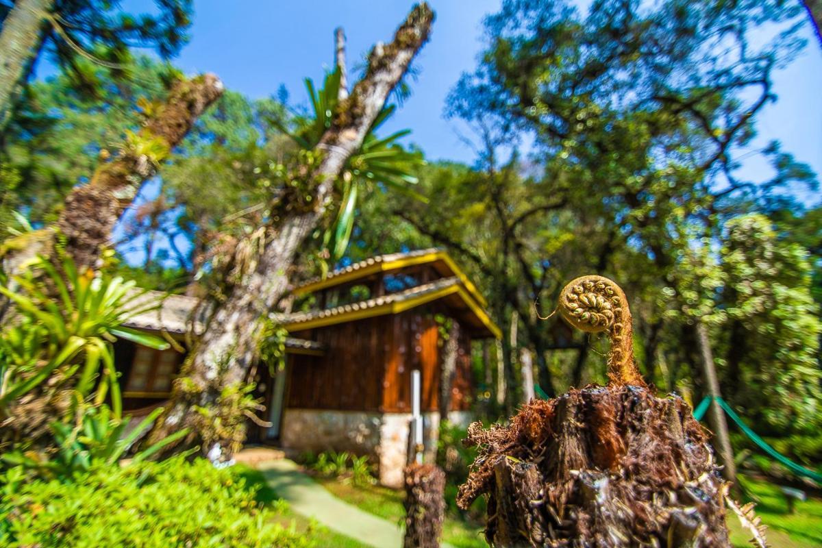 Pousada Villa D'Amore Monte Verde  Esterno foto
