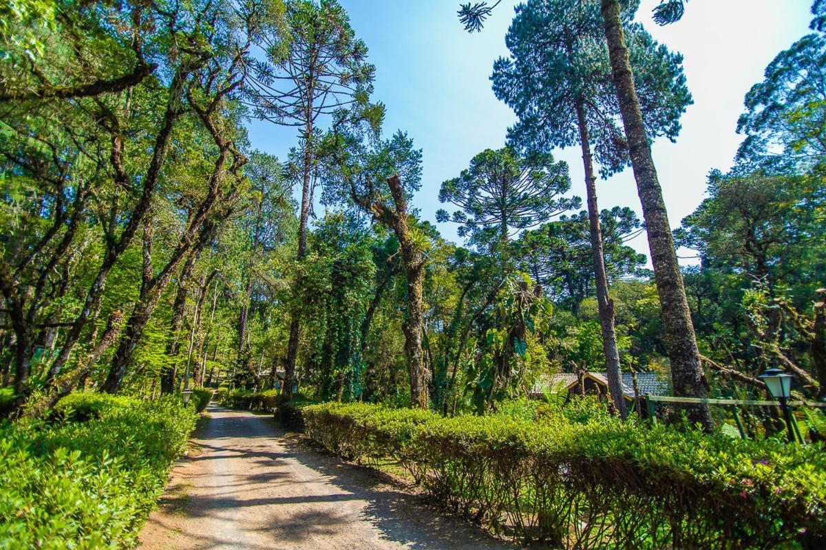 Pousada Villa D'Amore Monte Verde  Esterno foto