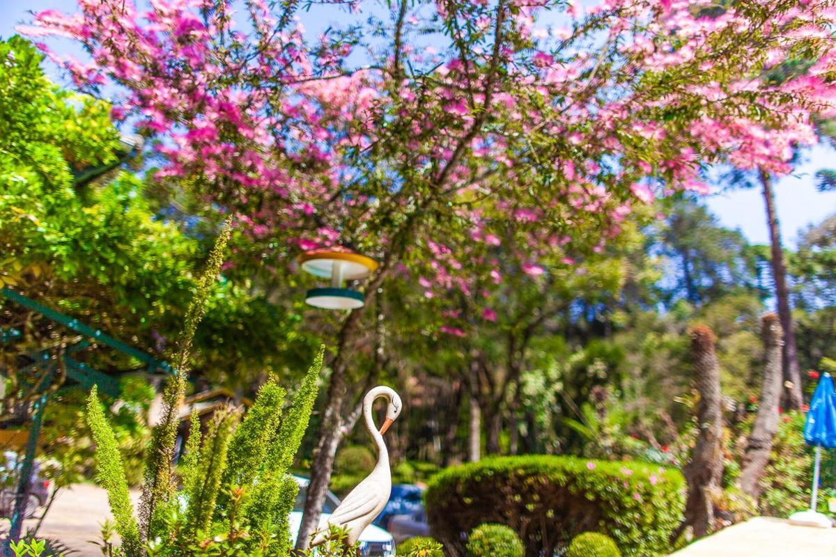 Pousada Villa D'Amore Monte Verde  Esterno foto