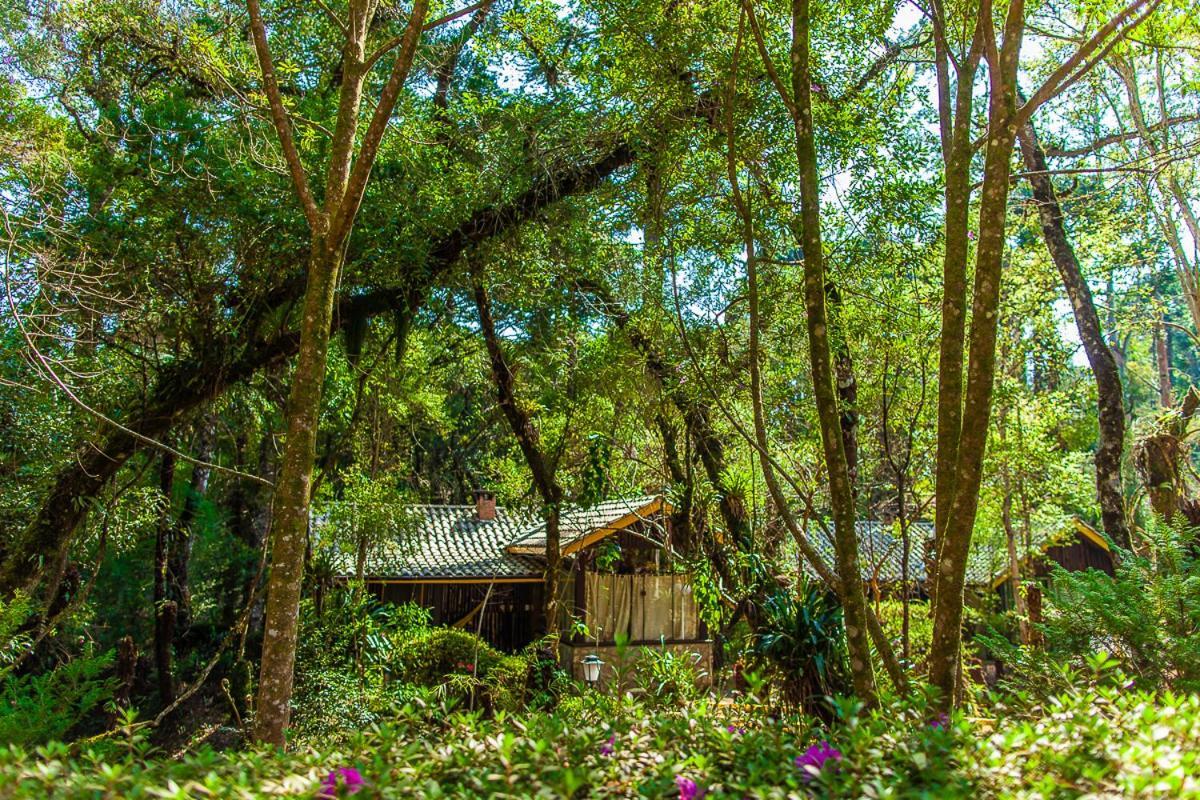 Pousada Villa D'Amore Monte Verde  Esterno foto